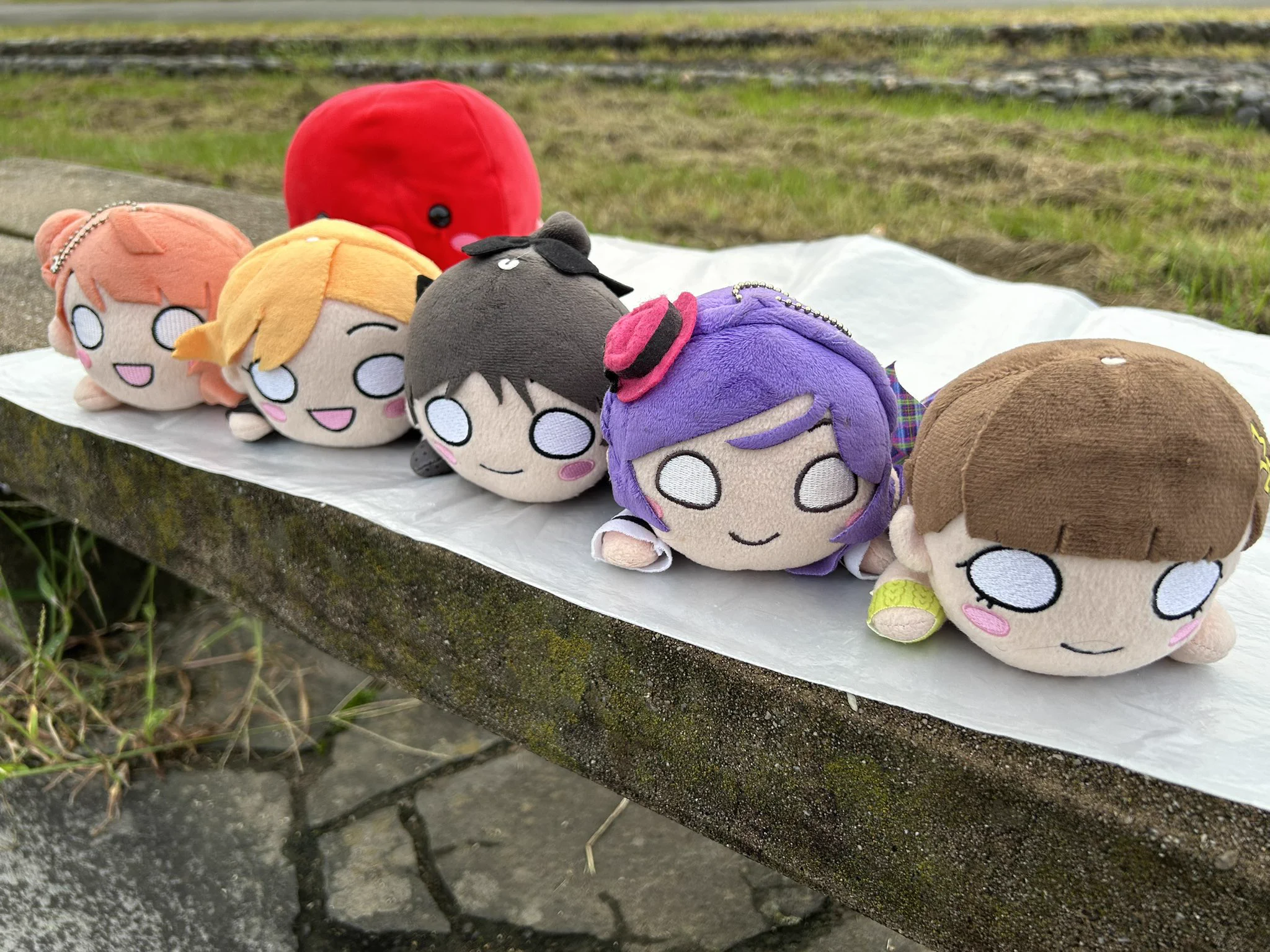 たかをっさん🍊🦊 على X: 