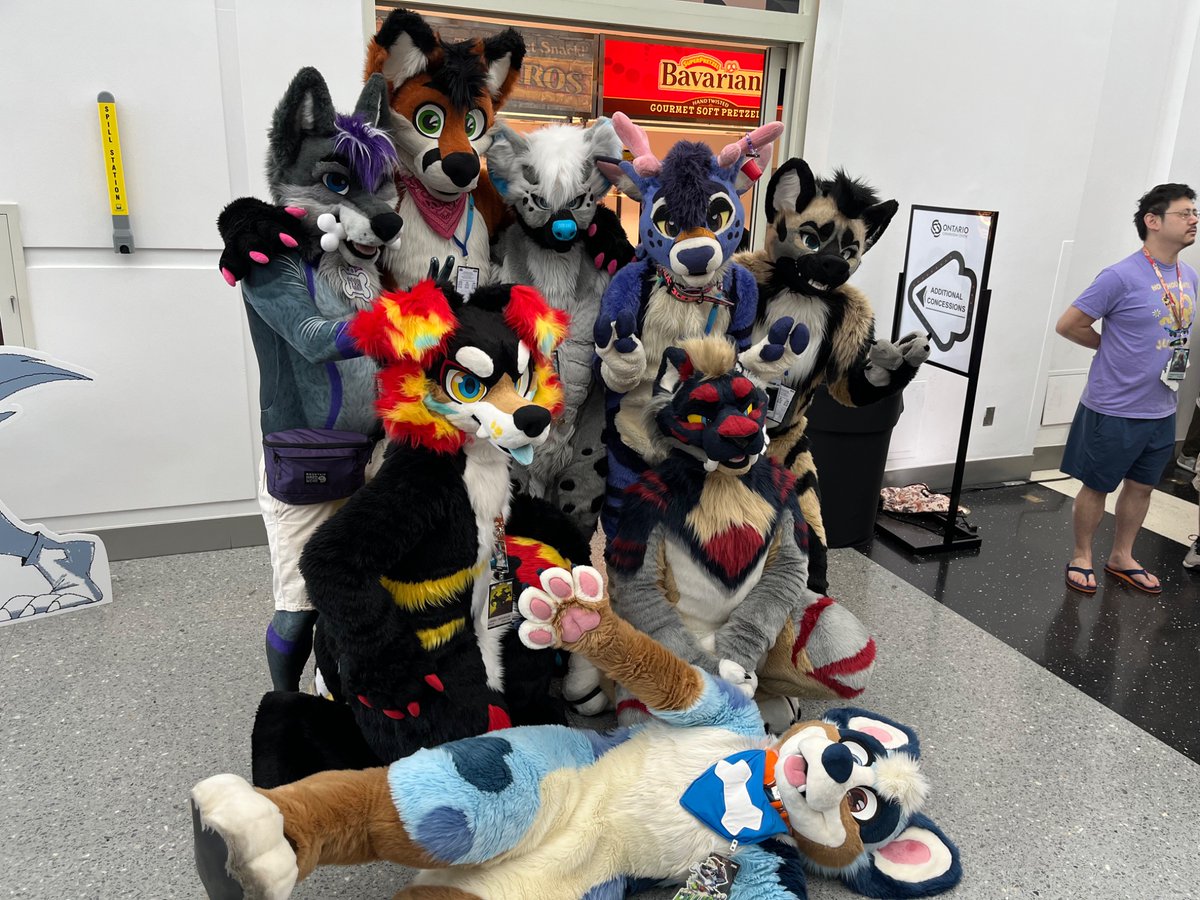 StitchFox1's tweet photo. More furry pics from Anthro SoCal 2026!
#ASC2026
3 https://t.co/g8GHyqqrNV