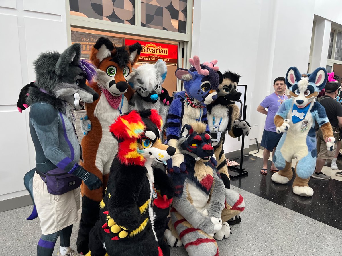 StitchFox1's tweet photo. More furry pics from Anthro SoCal 2026!
#ASC2026
3 https://t.co/g8GHyqqrNV