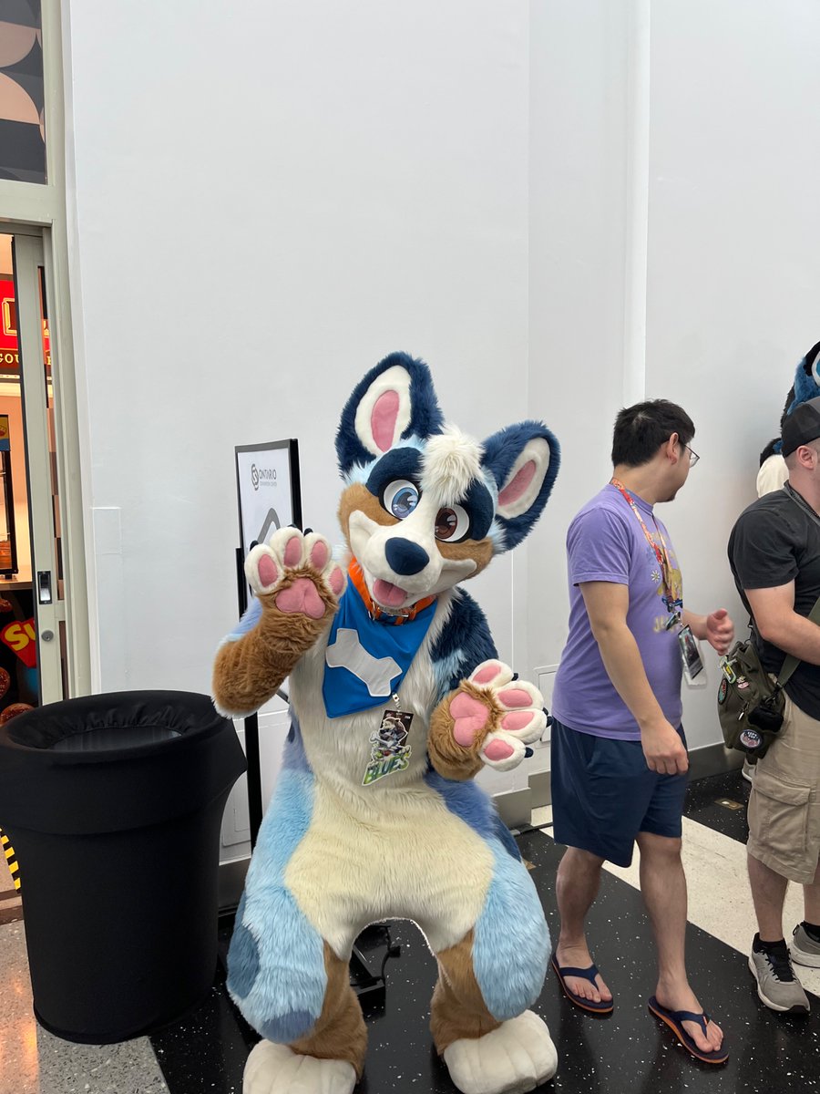 StitchFox1's tweet photo. More furry pics from Anthro SoCal 2026!
#ASC2026
3 https://t.co/g8GHyqqrNV