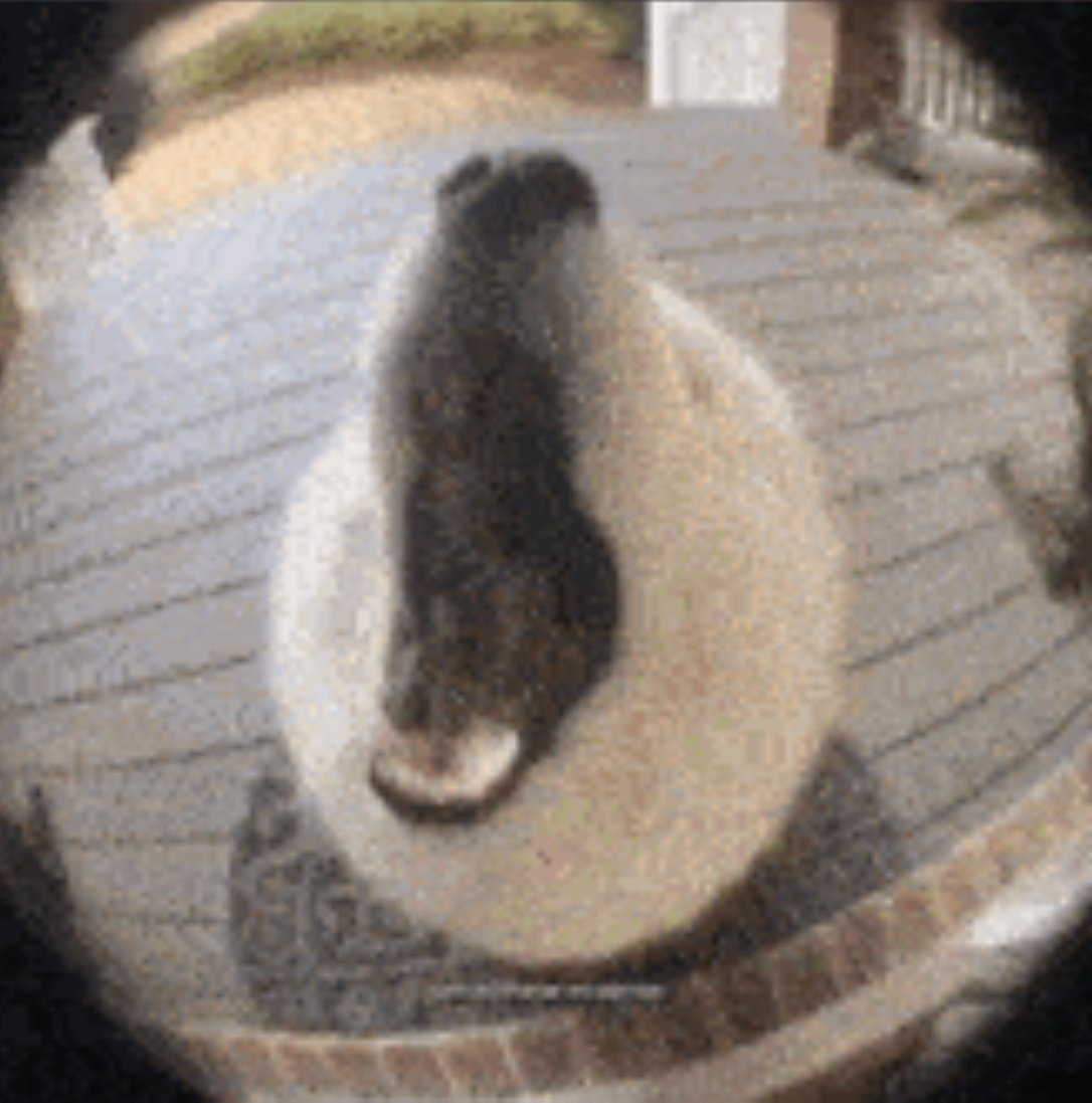 Resshift's tweet photo. @KinglyPancakes RAAAAAAAAAAAAAAAAH https://t.co/XzbFaKTcq4