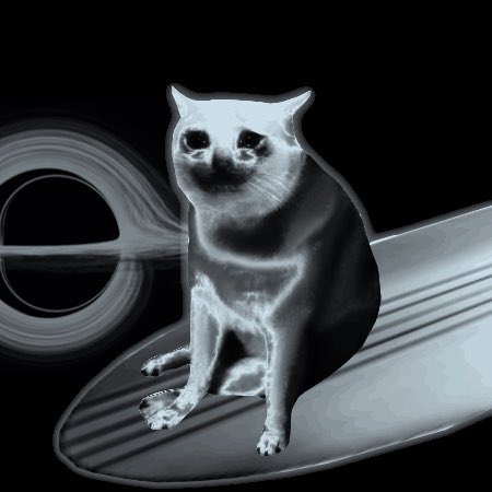 A surreal, edited image of a white cat with a distorted ghostly appearance sitting on a road, featuring swirling ring-like shapes and an unsettling atmosphere.