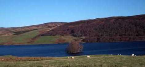 tourscotland's tweet photo. Tour #Scotland #Autumn travel video Blog of #Loch #Freuchie on #ancestry, #genealogy, #history visit and trip to #Glen #Quaich. In the early 1800s around three hundred crofters left this glen to resettle in #Ontario, #Canada https://t.co/mRHcv6RFgZ https://t.co/mnM0inLUcg