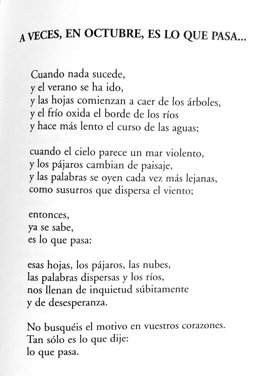 _NihilObstat's tweet photo. Ángel González

A veces, en octubre, es lo que pasa... https://t.co/CBP3GaL8n5