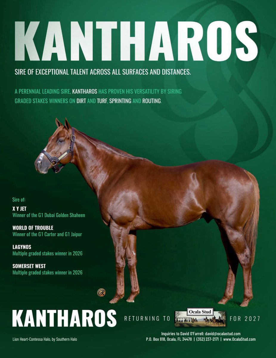 theTDN's tweet photo. KANTHAROS - sire of exceptional talent across all surfaces and distances - returns to @OcalaStud for 2027 ⤵️ https://t.co/70e0sey9a6