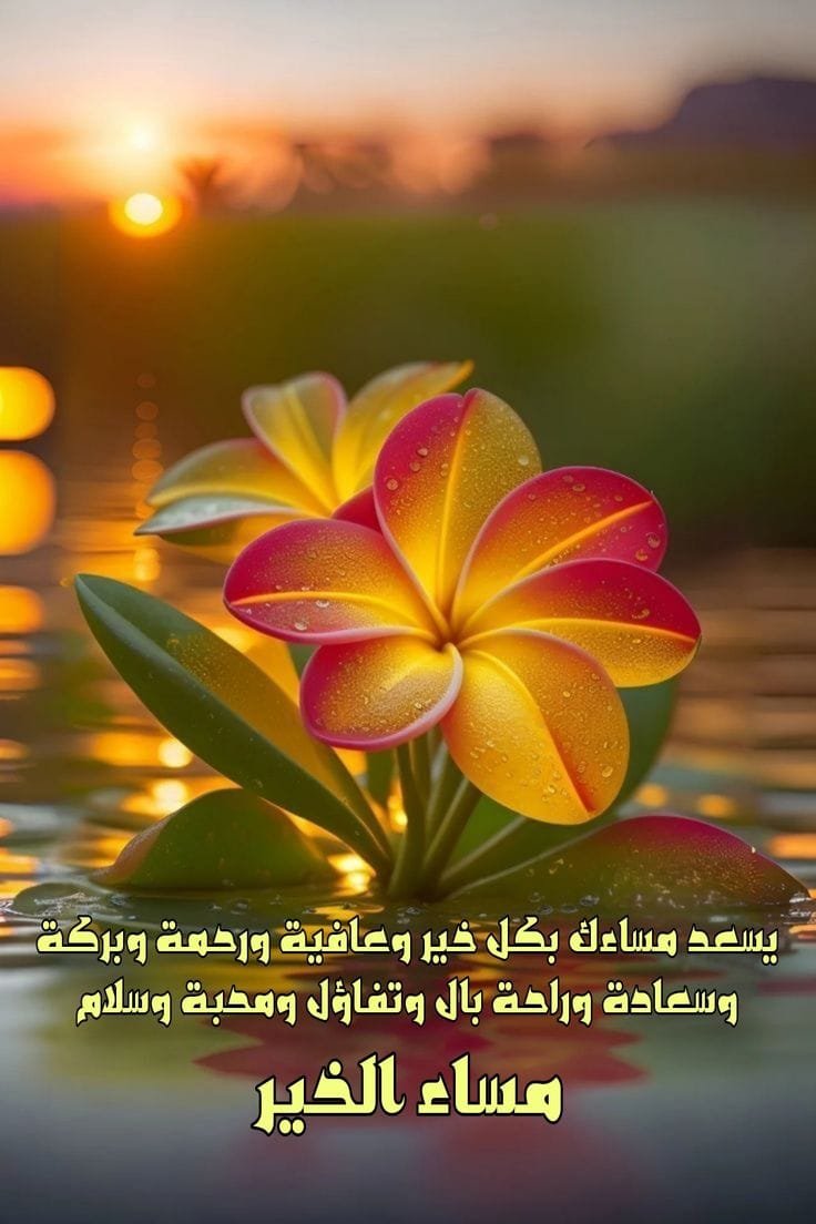zfxmd's tweet photo. @amarayemen ابشر ياقمر https://t.co/rmYYw6APd2