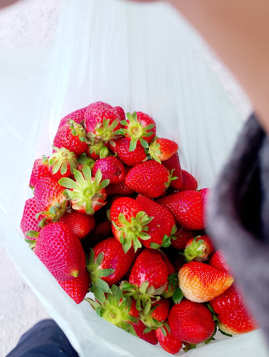 JoakoGOW's tweet photo. Tengo 22 años
Me compre 2kg de frutilla
No “padres ricos”
No “tuve suerte” 
Me puse una meta y la alcancé
Disciplina, conciencia y prioridades. https://t.co/x5E9ruMKCa