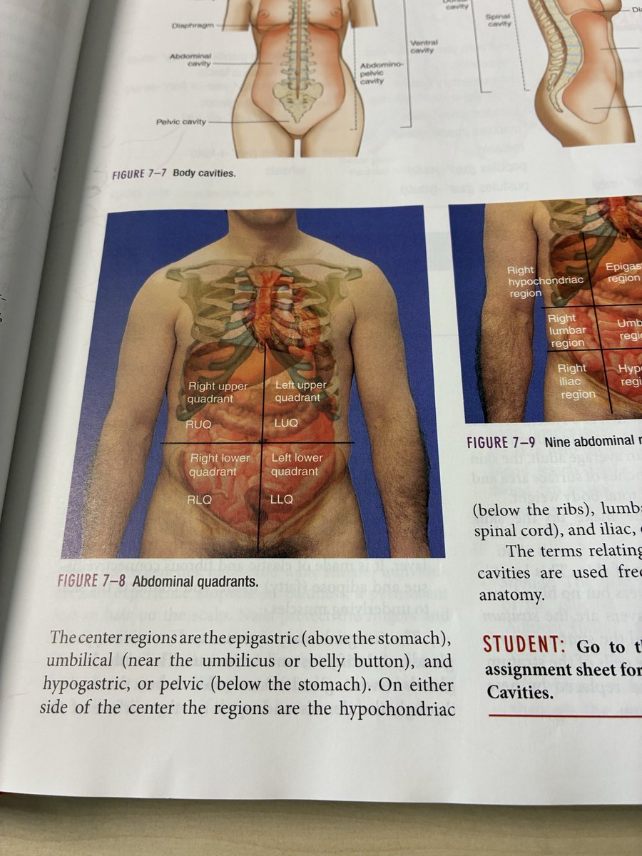 cookiekitties22's tweet photo. This diagram in my textbook made me wet in class because of his bush 🤤 https://t.co/espfJrx2r5