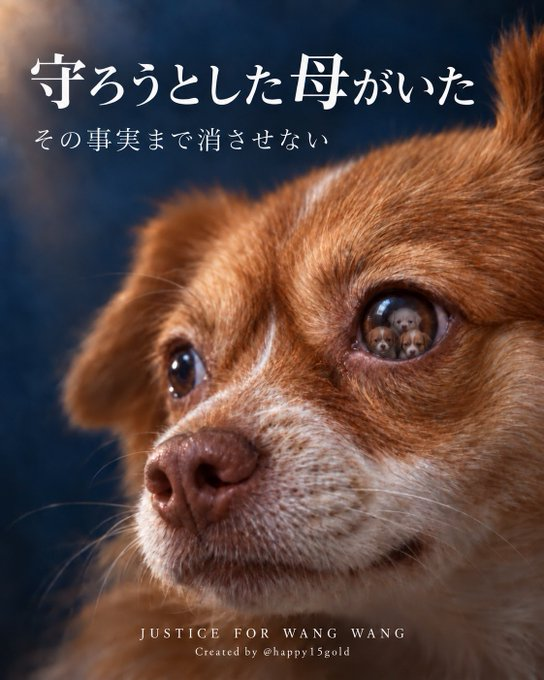 UJF_UNAFOO's tweet photo. 全身全霊で守ろうとした
せめてものその願いが叶わないと知った母は
目の前で殺され息絶えた最愛の子たちを置いて
我が身を守るために逃げることよりも
息絶えた我が子たちのそばに
最期まで共にいることを選んだ

#旺旺と子供たちを忘れない 
#旺旺親子の無念を忘れない

どれほど無念だっただろう https://t.co/stgUmUSr12