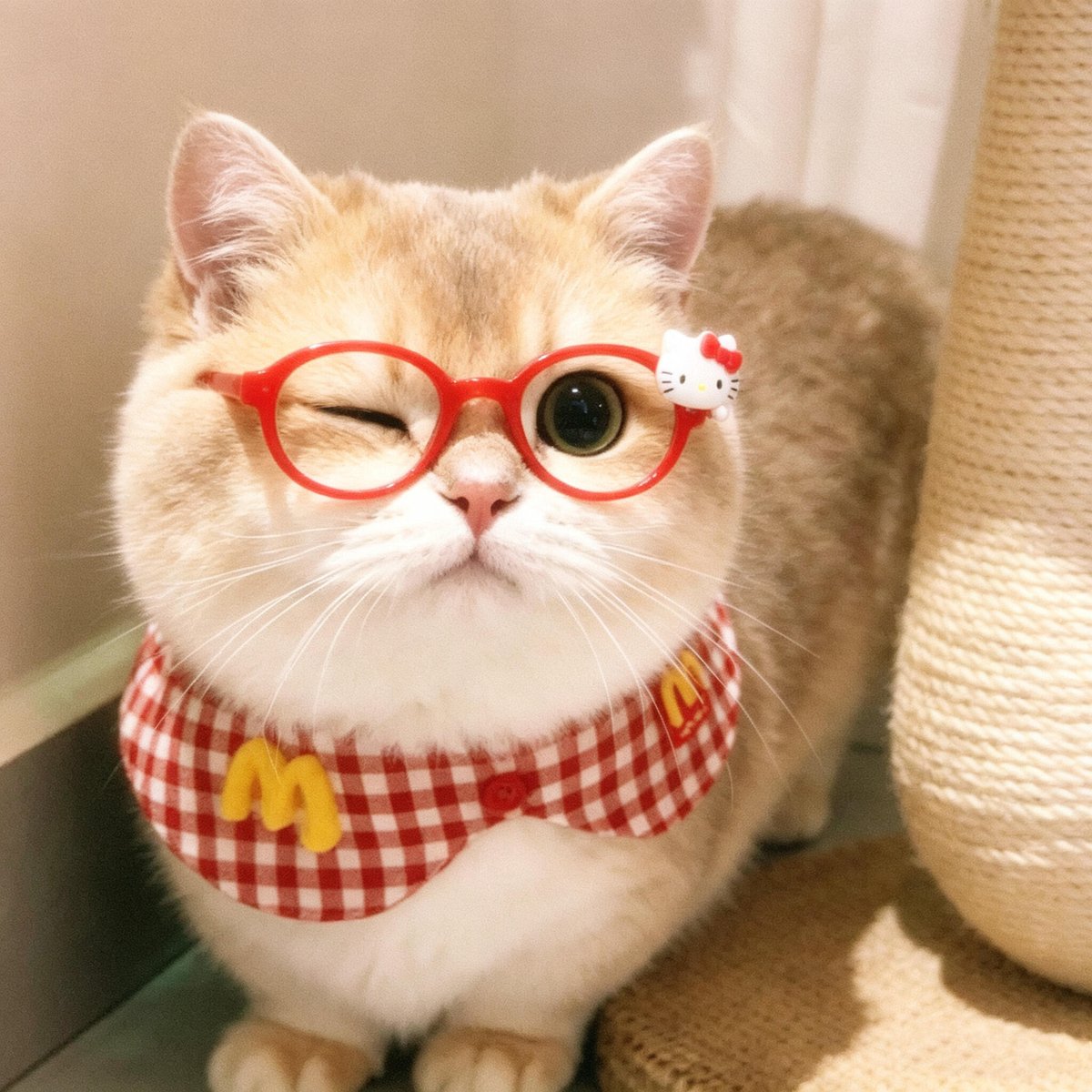 TheDrPowell's tweet photo. Sorry, this kitty is open for business today. 🐱✨
Red glasses + a checkered bib = peak fashion.
Ready for the ultimate wink attack? 😉 https://t.co/B7YK2Ujqsn