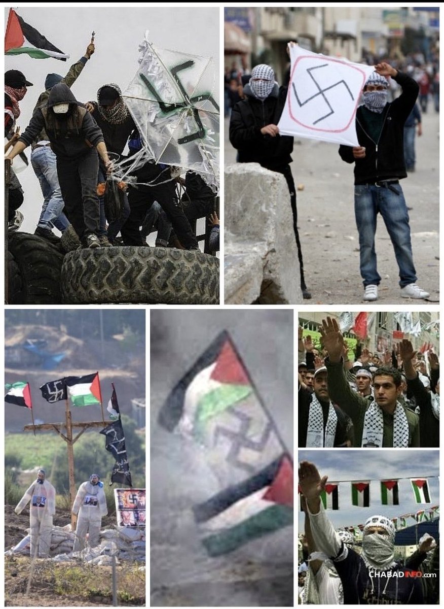 AntiFl4ke's tweet photo. @nickdearden75 Palestinians salute all pro Palestine Nazis https://t.co/6KNUkmLcej