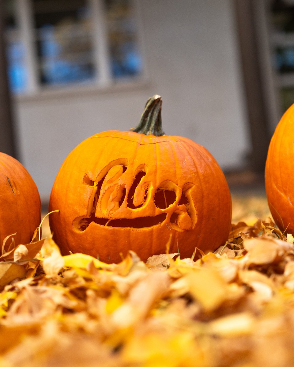 UNM's tweet photo. Happy October 1, Lobos 🎃
Check out our collection of iconic Jack-o'-lantern stencils to bring a bit of UNM to your fall decor. 

Download below ⬇️
https://t.co/koiDA4AErH https://t.co/ScclDLHm6K