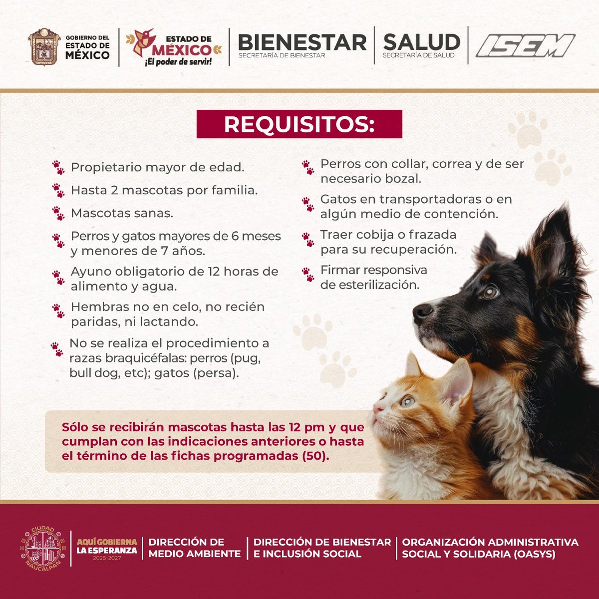 GobNau's tweet photo. Este viernes 2 de octubre, se llevará a cabo la Jornada de Vacunación y Esterilización Quirúrgica de perros y gatos en San Esteban.🐾 🐶🐱

📅 Viernes 2 de octubre de 2026
⏰ A partir de las 9:00 horas
📍 Cerrada 1a. de San Andrés Atoto 18A, San Esteban, #Naucalpan.

Para esterilización se contará con 50 fichas y se recibirán perros y gatos que cumplan con los requisitos establecidos.

👉 Consulta en las imágenes todos los detalles.

#AquiGobiernaLaEsperanza #Naucalpan #BienestarAnimal #Vacunación #Esterilizacion