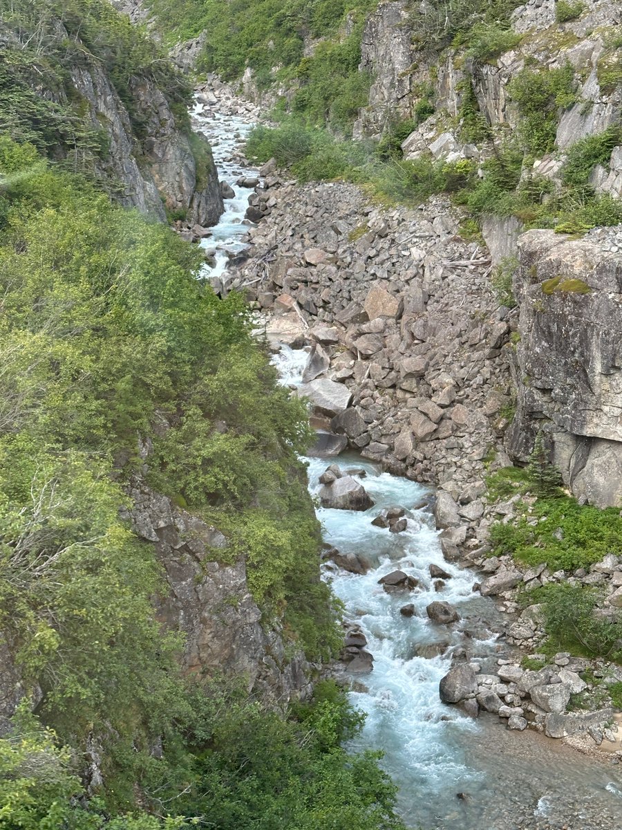 ChristaN7777's tweet photo. A waterfall from the train in #Skagway, Alaska. #cruising #travelpics 2026 https://t.co/JsyaGnWNzF