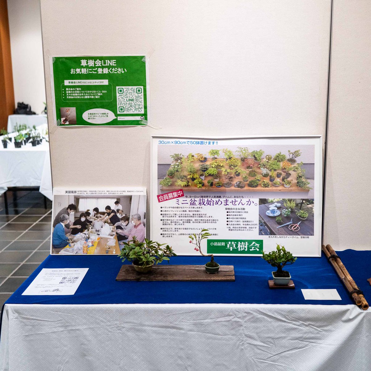 ComKusunoki's tweet photo. 秋晴れの気持ち良い青空に誘われて、仕事も早めに切り上げて、草樹会の盆栽展示を見に神代植物公園へ。
会場ではテン:ヒルさん（@hina18464525327）にたくさんのお話を伺うことができ、数々の素晴らしい展示にも触れ、本気で草樹会への入会を検討中…?🤔
すっかり長～いお昼休みになってしまいました。 https://t.co/AqE3BR69wZ