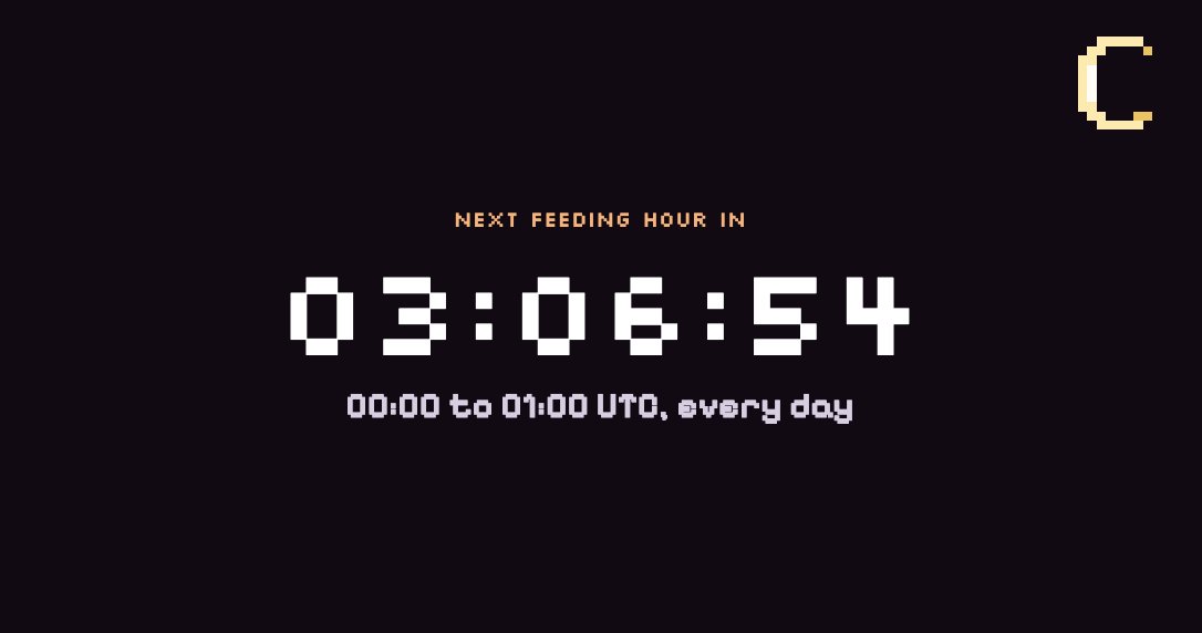leechfees's tweet photo. Feeding hour is live.
00:00 to 01:00 UTC, every day. The pond goes dark and the fee rate changes for sixty minutes.
Check the clock on the site before you buy. https://t.co/lxt6CFW8sc
