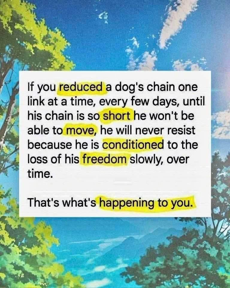 Sassygal1971's tweet photo. I wish more people realized this https://t.co/adhnFkvJIs