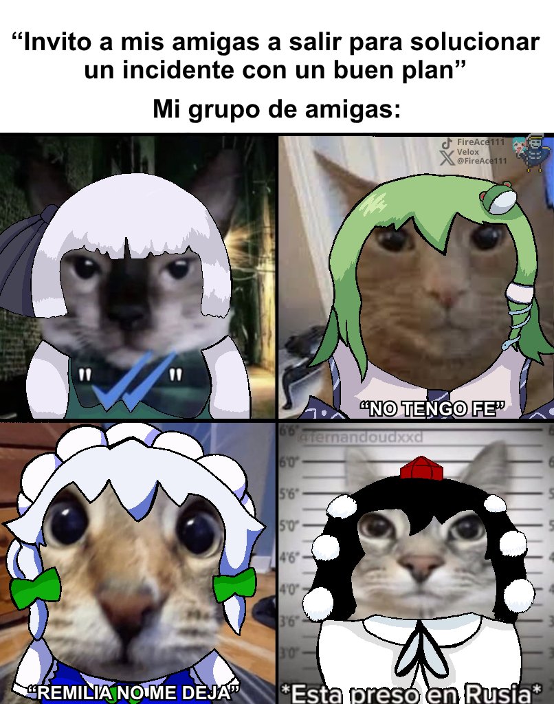 FireAce111's tweet photo. Mis mejores amigas.... ósea la reserva, el equipo B. 
#touhoumemes #touhou https://t.co/3DWa2FX8cm