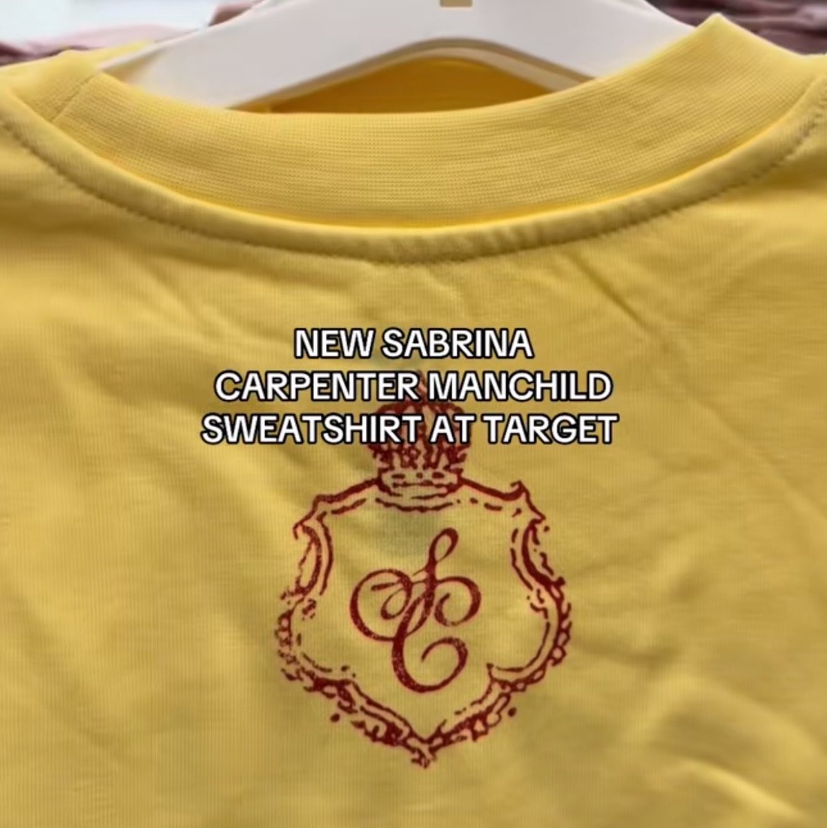 SCdailyupdates's tweet photo. New Sabrina Carpenter Manchild sweatshirt available at Target. https://t.co/g9eWmgtkA2