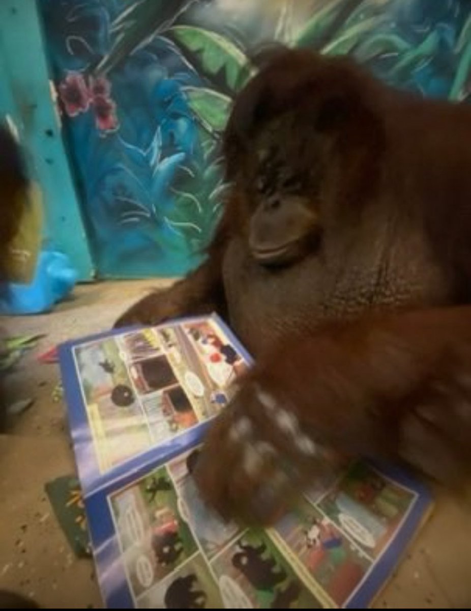 SorrowIsMyName's tweet photo. Getting into non fiction books #mature #aged #smort https://t.co/LuiJjQK4gs