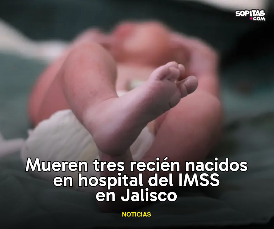 sopitas's tweet photo. Otro caso que prende las alertas en el IMSS: Tres recién nacidos murieron en la UCIN del Centro Médico Nacional de Occidente, en Jalisco, y sus familias presentaron una denuncia ante la FGR para que se investiguen las posibles causas y se deslinden responsabilidades. https://t.co/tPU5NTI0H8