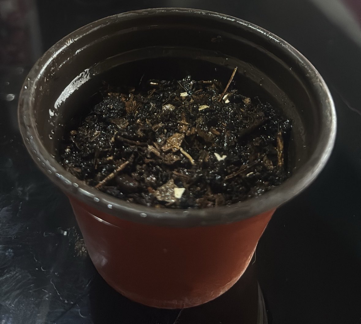 Sabrinaice18's tweet photo. hoy inicio con la siembra de mi bb 🌿🪴 #drugstwt #drugtwt https://t.co/AmmCuiLTv4