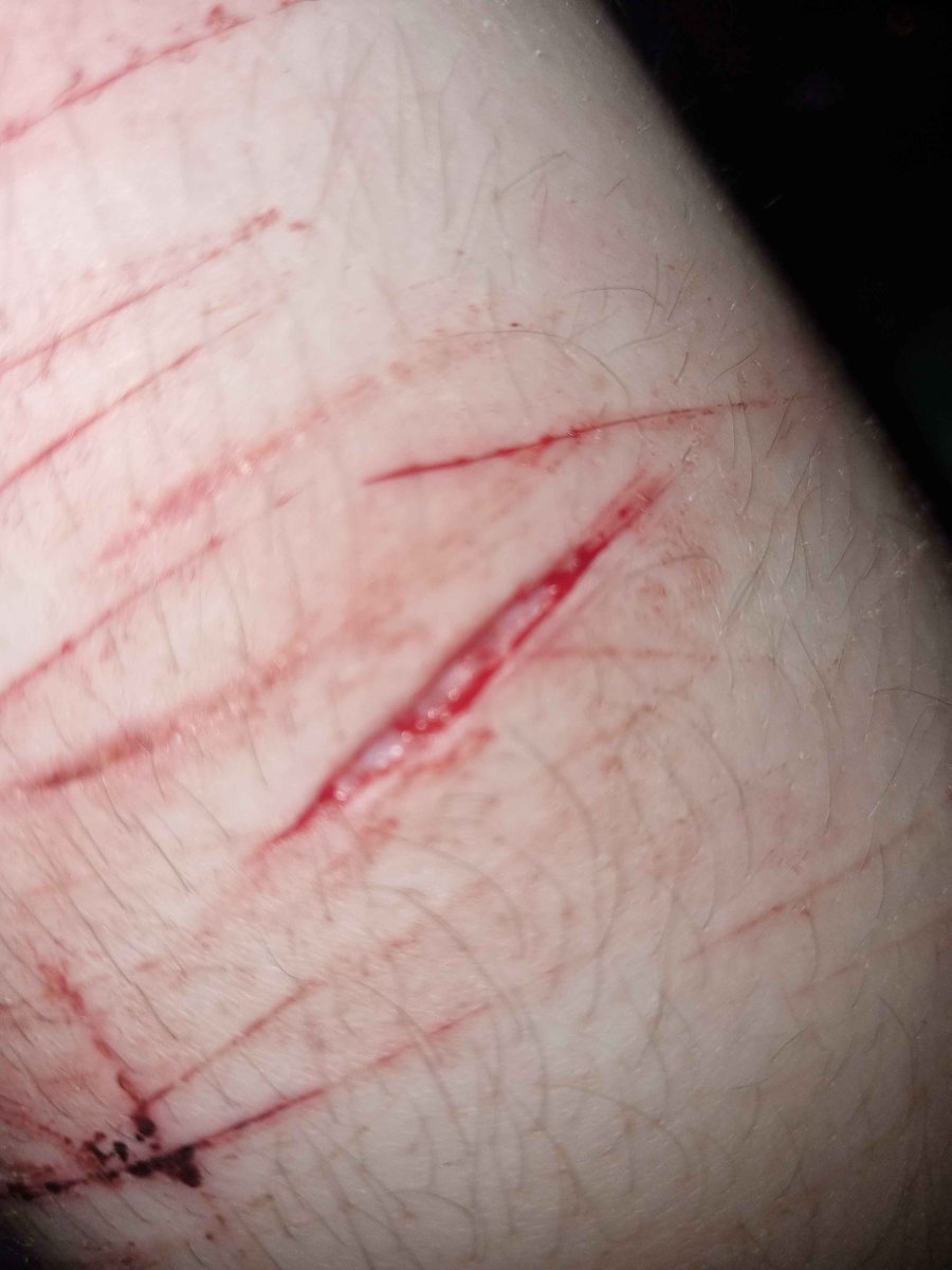 tbop_creator's tweet photo. These were all 1 swipes btw

HALLOWEEN SFX PRACTICE!!

#shtwt #sharmtwt #slittwt #nictwt #shedtwt #fyp #foryou https://t.co/h6mR7i39Ag
