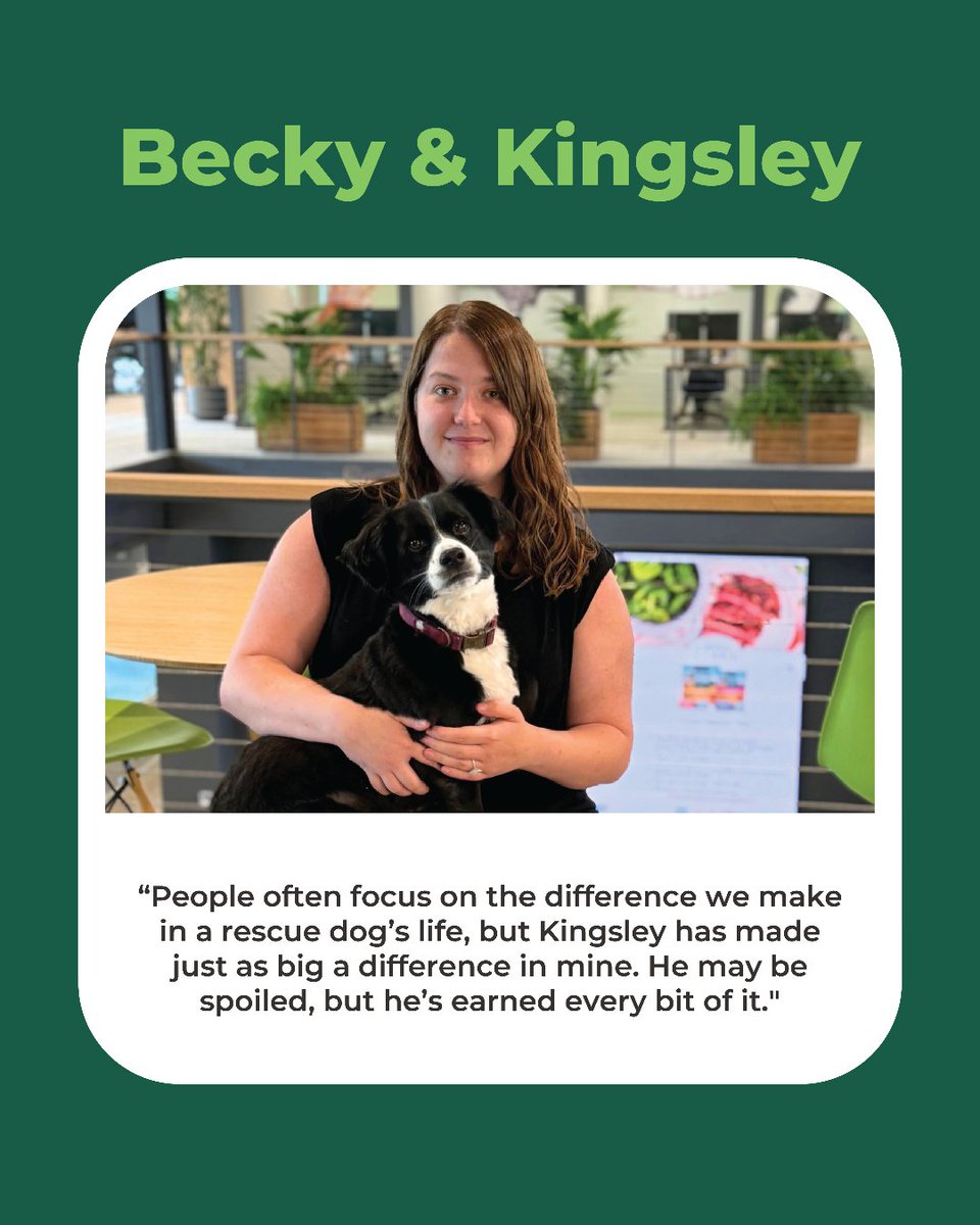 Freshpet's tweet photo. This #AdoptAShelterDogMonth, meet a few Freshpet team members whose lives were changed by opening their homes to shelter dogs. 💚

There are many ways to make a difference for shelter dogs. Consider adopting, fostering, volunteering or supporting a shelter in your community. 🐾 https://t.co/ZW8DvmnmuD