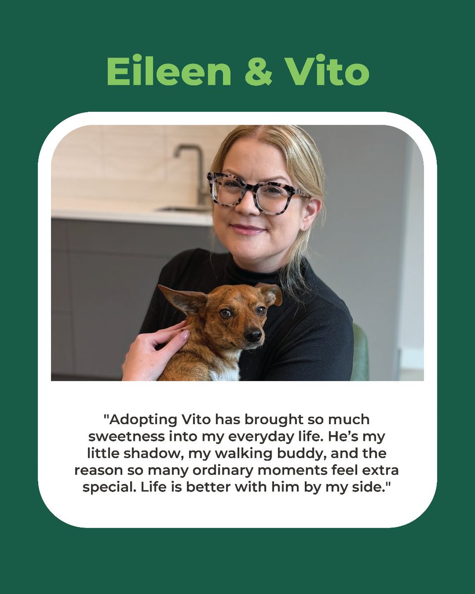 Freshpet's tweet photo. This #AdoptAShelterDogMonth, meet a few Freshpet team members whose lives were changed by opening their homes to shelter dogs. 💚

There are many ways to make a difference for shelter dogs. Consider adopting, fostering, volunteering or supporting a shelter in your community. 🐾 https://t.co/ZW8DvmnmuD