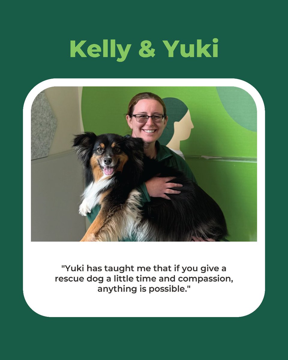 Freshpet's tweet photo. This #AdoptAShelterDogMonth, meet a few Freshpet team members whose lives were changed by opening their homes to shelter dogs. 💚

There are many ways to make a difference for shelter dogs. Consider adopting, fostering, volunteering or supporting a shelter in your community. 🐾 https://t.co/ZW8DvmnmuD