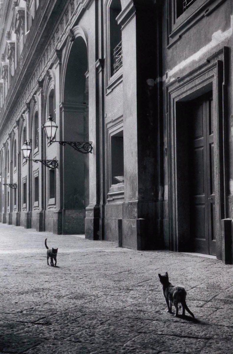 MajaSenda's tweet photo. ©Leonard Freed https://t.co/FCHza6GGKG