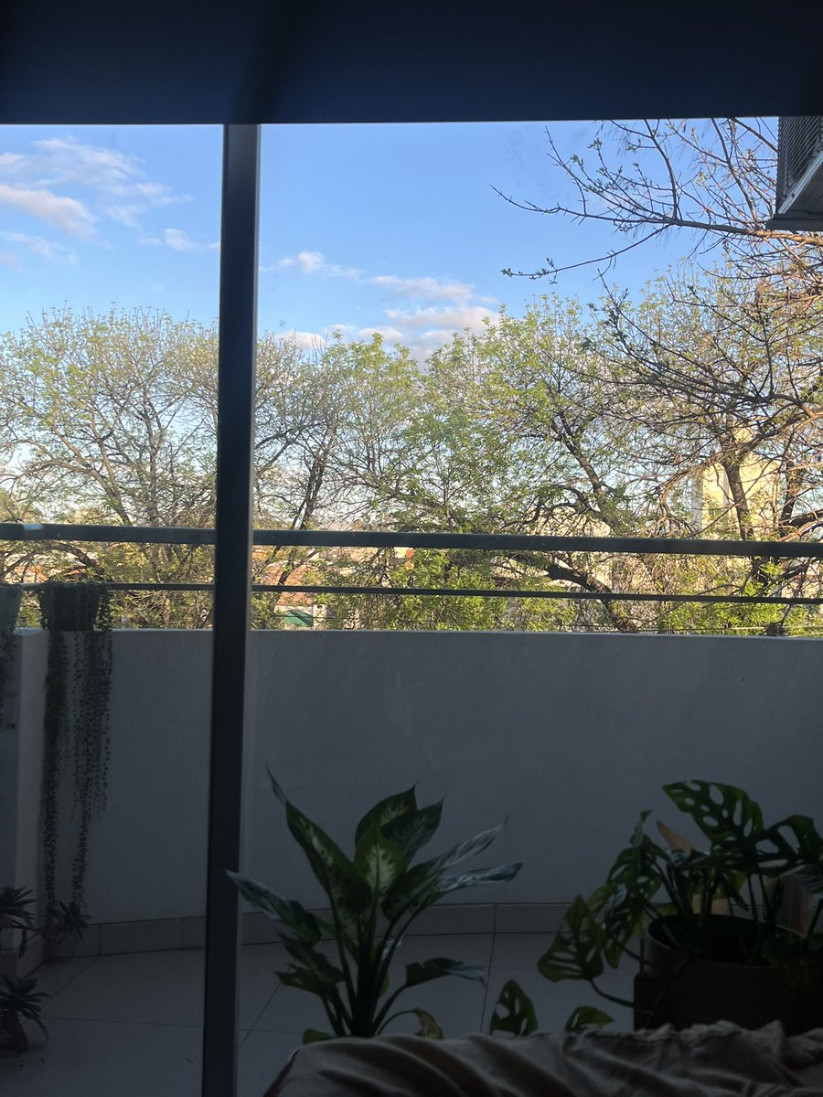 chechulandia_'s tweet photo. Me acabo de dar cuenta que los árboles de mi cuadra se empezaron a llenar de verde, como estaban cuando me mudé, y me puse de buen humor 🤩 https://t.co/7jLco07zBz