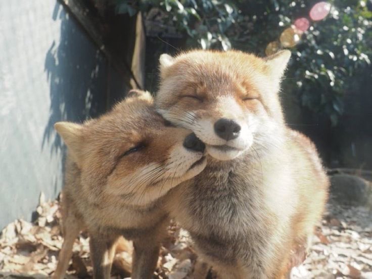 prtygal777's tweet photo. first day of October. i Love you https://t.co/HL4foWlscq