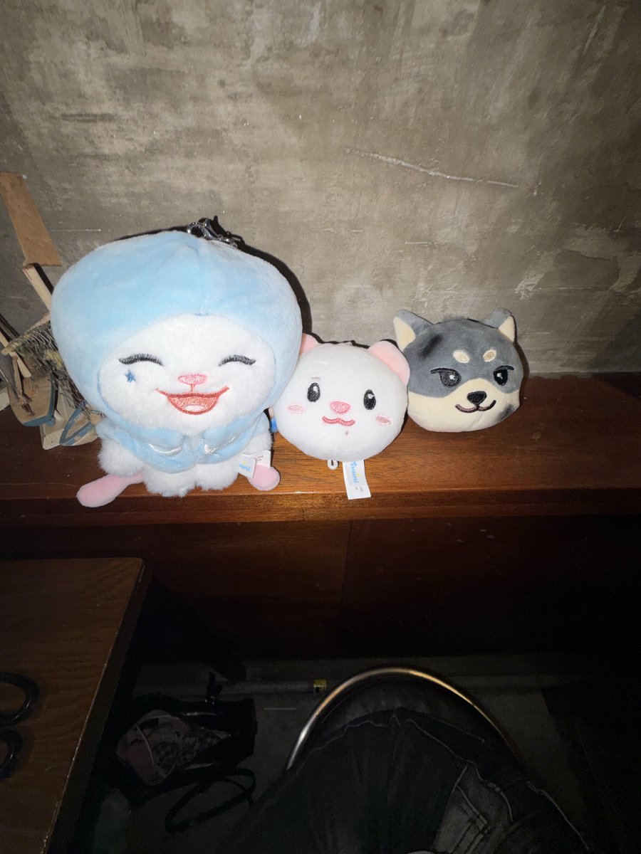 equalsignow's tweet photo. 첫사랑즠ㅋㅋ 인형 존귀 미치겠다 https://t.co/0c3UA192rb