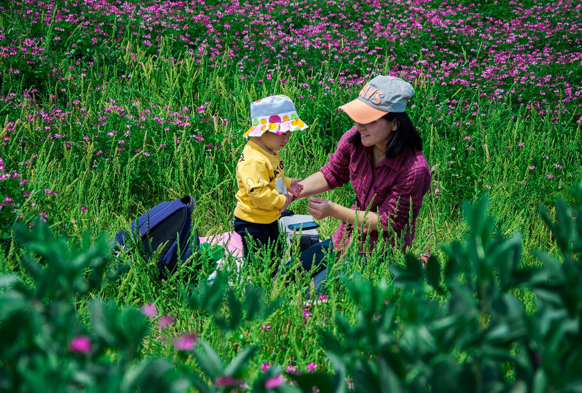 LydiaBrunspp's tweet photo. Juguemos a buscar! Hoy descubrimos flores coloridas en el parque con mi hijo/mi hija. Momentos bonitos que guardamos en el corazón! https://t.co/Io5HJdxnBO