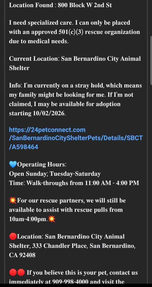 itsadogslifersq's tweet photo. No name yet #A598464
8mo. #Labradorpuppy
๐#SanBernardino City
Injured puppy: hind leg lameness, unable to carry weight, poss. broken rear leg or hip
Right eye enlarged & cloudy due to possible trauma.
#RescueOnly
Deadline 10/2 โผ๏ธ
Can you #foster for a rescue?
#fosterneeded https://t.co/jyM8LOPE8J