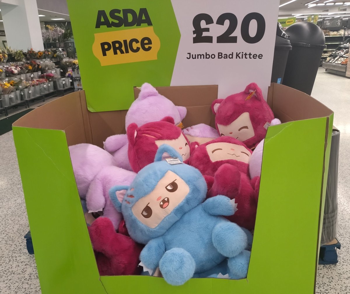 clear3st's tweet photo. I almost forgot here's some cute plushies I saw while going into Asda☺️
#Asda #Plushies #Clear3stSpy https://t.co/iYkY4Dtngl