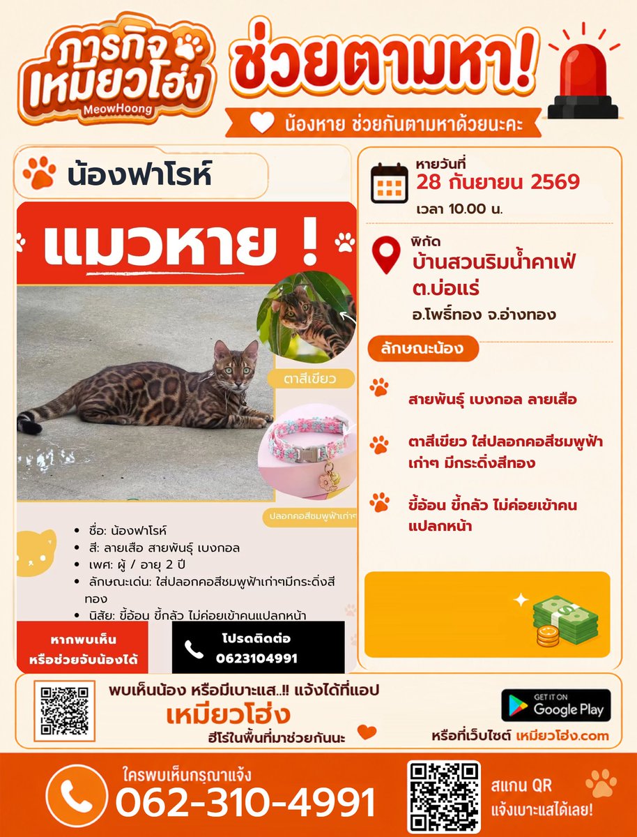 MeowHoongTH's tweet photo. ตามหาแมวเบงกอล น้องฟาโรห์ 

📍 พิกัด: บ้านสวนริมน้ำคาเฟ่ ต.บ่อแร่ อ.โพธิ์ทอง จ.อ่างทอง

⚠️️ สายพันธุ์เบงกอล ลายเสือ เพศผู้ อายุ 2 ปี ตาสีเขียว ปลอกคอชมพูฟ้ากระดิ่งสีทอง ขี้กลัวคนแปลกหน้า

📞 062-310-4991
🌐 https://t.co/dnWyKxIrYv

#แมวหายอ่างทอง #โพธิ์ทอง #แมวเบงกอล #เหมียวโฮ่ง https://t.co/MyCmsSXCTl