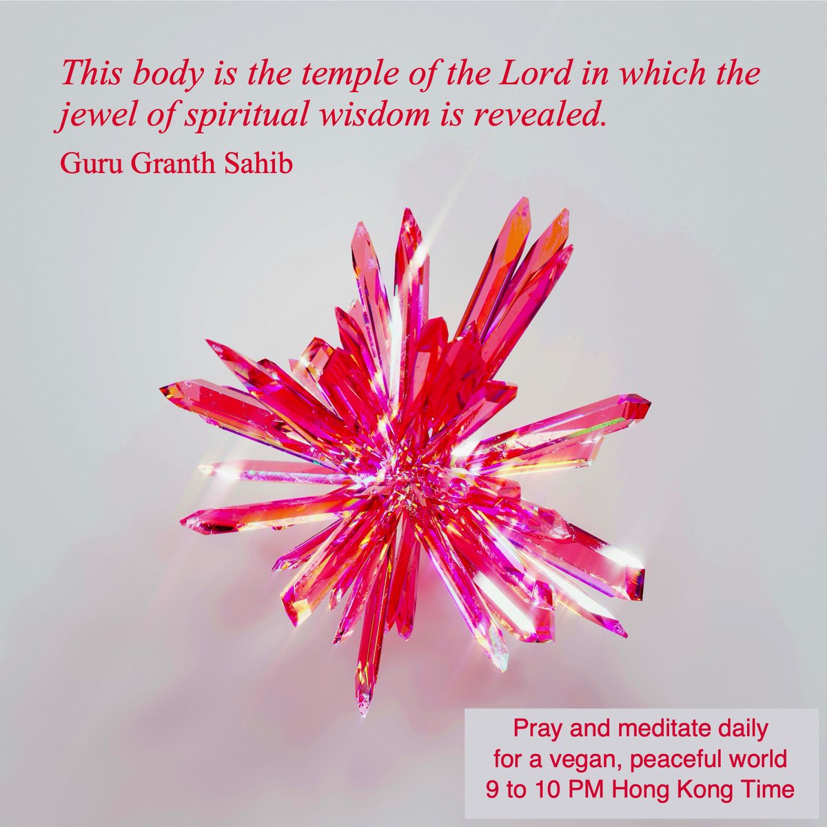 BScavullo's tweet photo. This body is the temple of the Lord in which the jewel of spiritual wisdom is revealed. https://t.co/Xxs93YI1BQ