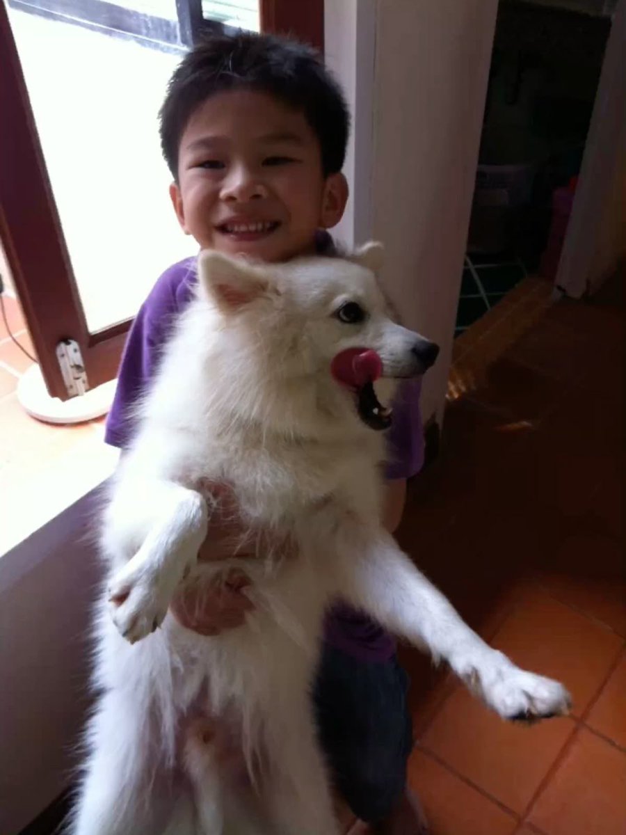 gimmethatqt's tweet photo. หล่อ ใจดี รักสัตว์ ไม่มีฟันคุด 🐶🤏🏻 https://t.co/7PsrcAL3AW