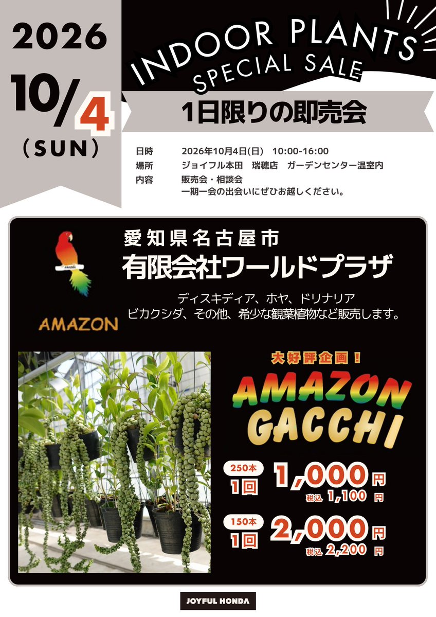 gc_joyfulhonda's tweet photo. 【 #ガーデンセンター瑞穂店 】
10月4日の #AMZON GACCHI では
観葉植物もメインではないですが即売致しますよ~!!
#フィロデンドロン や #モンステラ などなど( *´艸`)💛
ぜひ4日 日曜日も一緒にイベント楽しみましょ~ね
10時からスタートです!! https://t.co/CbXKkyJ3bg