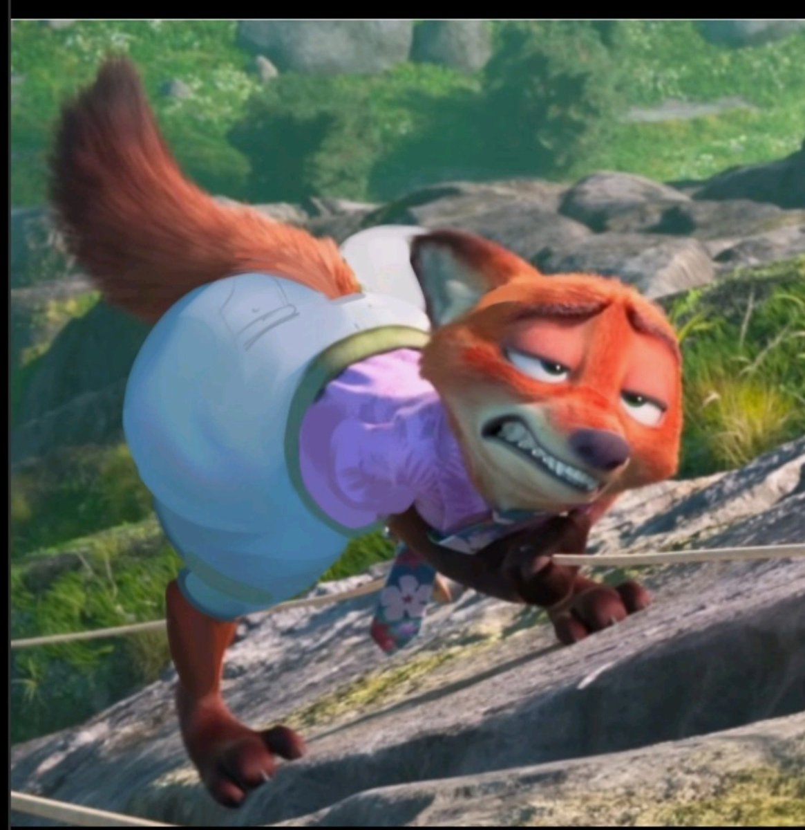 emilyronp's tweet photo. What Is Zootopia 2 even about
#nsfw #zootopia #furry #ass https://t.co/Osg3DVfCli