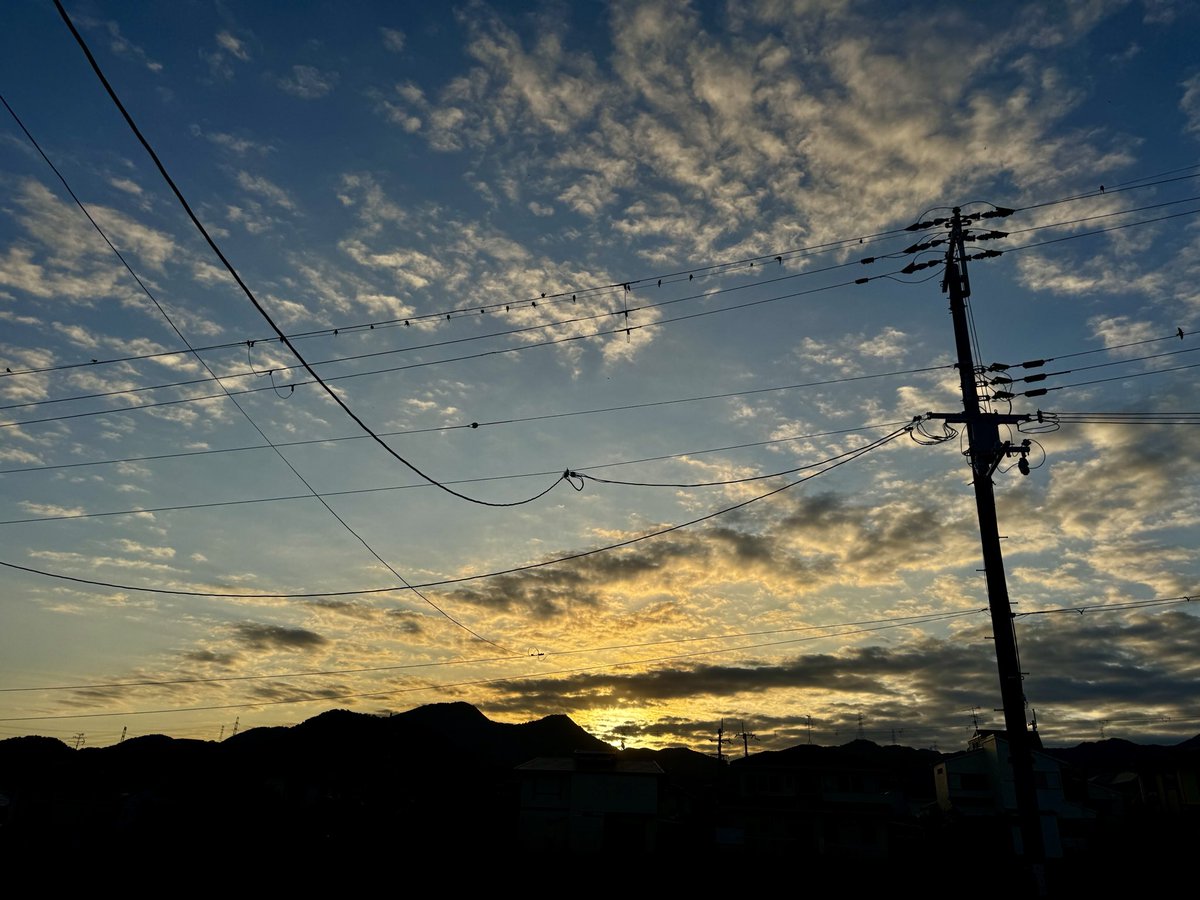 Tstudio01's tweet photo. おはようございます！
爽やかな朝☀️
電線に並ぶつばめさんが朝のお出迎え☺️
写真に写ってない所もズラリと並んでます！もう少ししたら行ってしまうのかな？ https://t.co/Wpf7ZYrONd