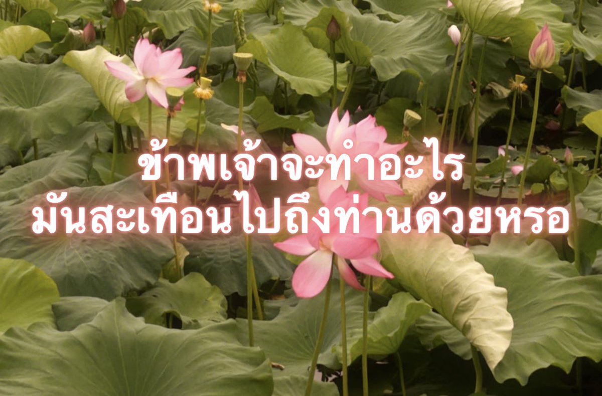 Iaunza's tweet photo. นั้นนะสิ่ท่าน https://t.co/i3zqTUo6gP