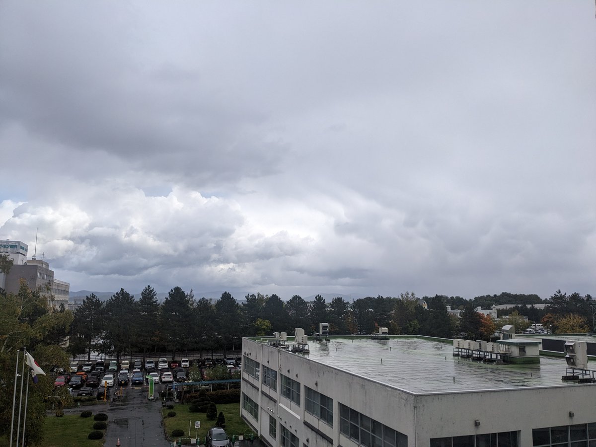 aumganka's tweet photo. おはようございます！今朝の旭川医大からの景色です。天気☔気温12度、湿度60%朝から強い雨が降っております。10月の短い紅葉シーズンが始まります🌳層雲峡では森がすこし色づいてきました。市内でも水色のふわふわした雪虫がでてまいりましたね ＃旭川医大 ＃眼科 ＃雪虫 ＃紅葉シーズン ＃北海道 https://t.co/savz2boGFg