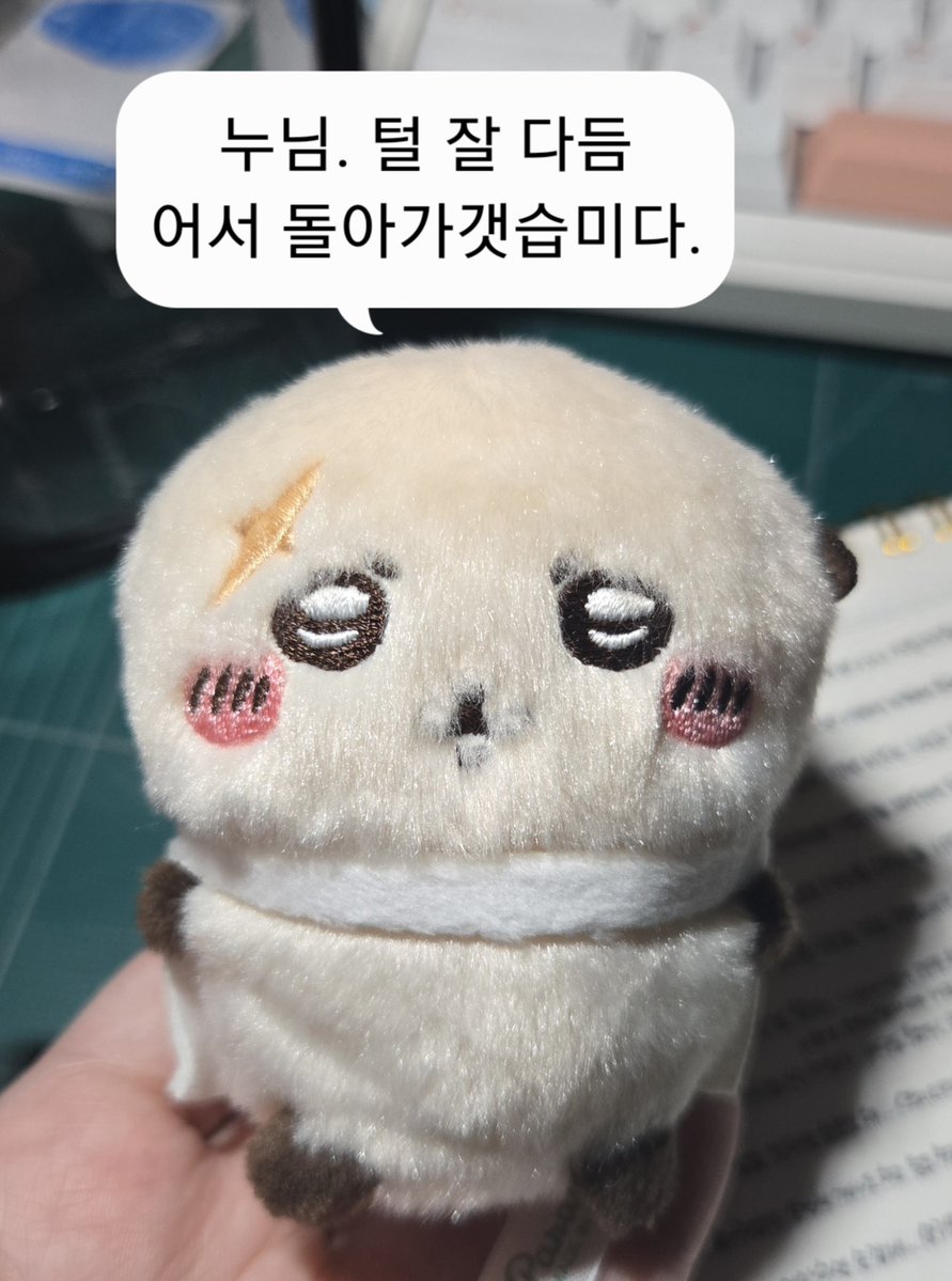 DD_Whitt's tweet photo. 털 정리하고 온 랏코
진짜 동글복실복실함 https://t.co/JwoyBF2yIN