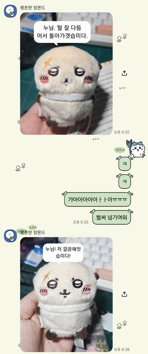 DD_Whitt's tweet photo. 털 정리하고 온 랏코
진짜 동글복실복실함 https://t.co/JwoyBF2yIN