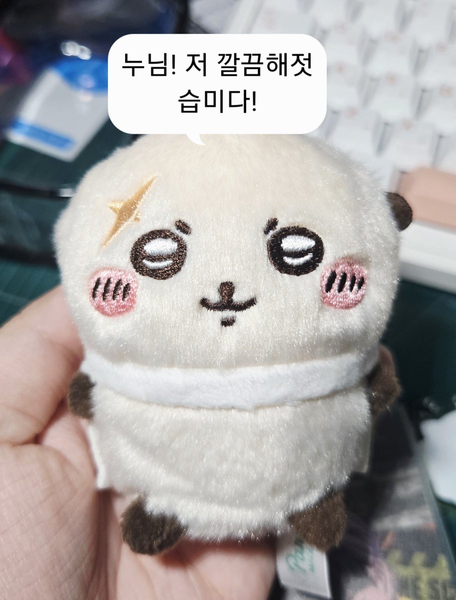 DD_Whitt's tweet photo. 털 정리하고 온 랏코
진짜 동글복실복실함 https://t.co/JwoyBF2yIN