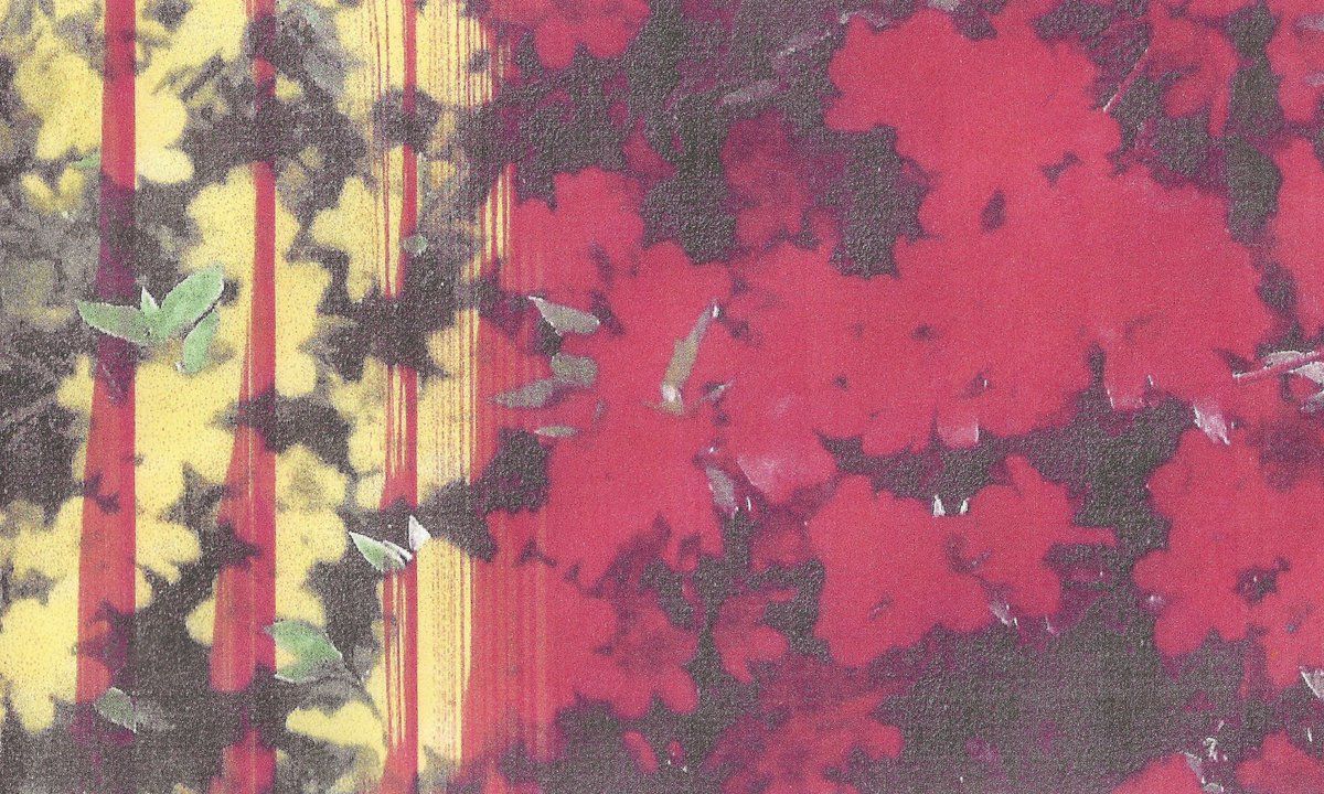 danghentschel's tweet photo. Printer out of ink halfway through azaleas https://t.co/Y8dFmreItt