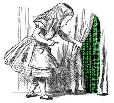 iluminatibot's tweet photo. Follow the white rabbit https://t.co/jhJrr2sVBg